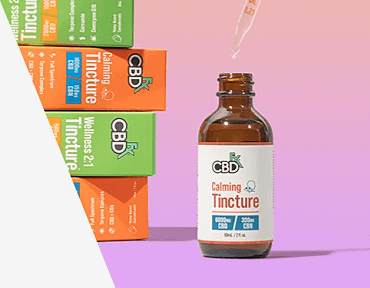 CBDfx CBD + CBN Oil Calming Tincture 1