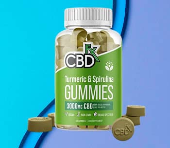 Best CBD Gummies for Pain Relief - CBDistillery CBD Gummies with Turmeric and Spirulina 