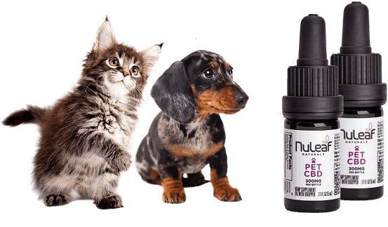 Best Full-spectrum For Pets NuLeaf Naturals CBD Pet Oil