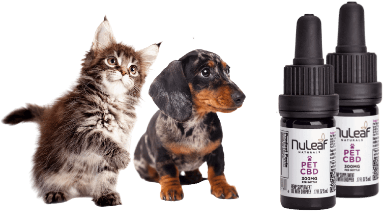 NuLeaf Naturals CBD Pet Oil 1 NuLeaf Naturals CBD Pet Oil.